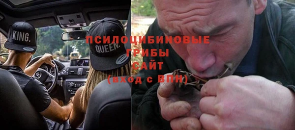 дживик Магас