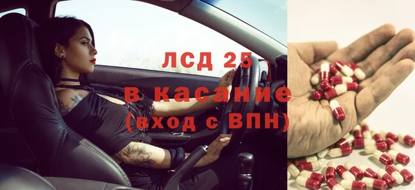 дживик Магас