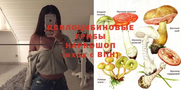 крисы Магадан