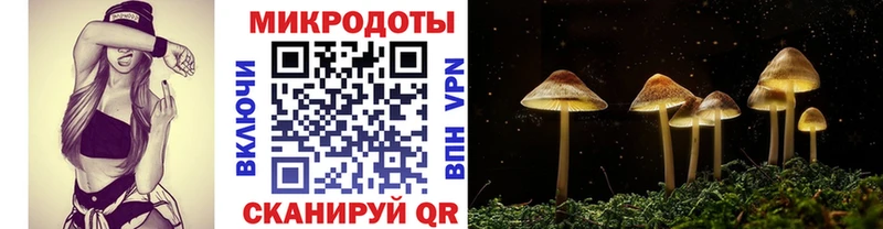 как найти закладки  Приозерск  Галлюциногенные грибы прущие грибы 
